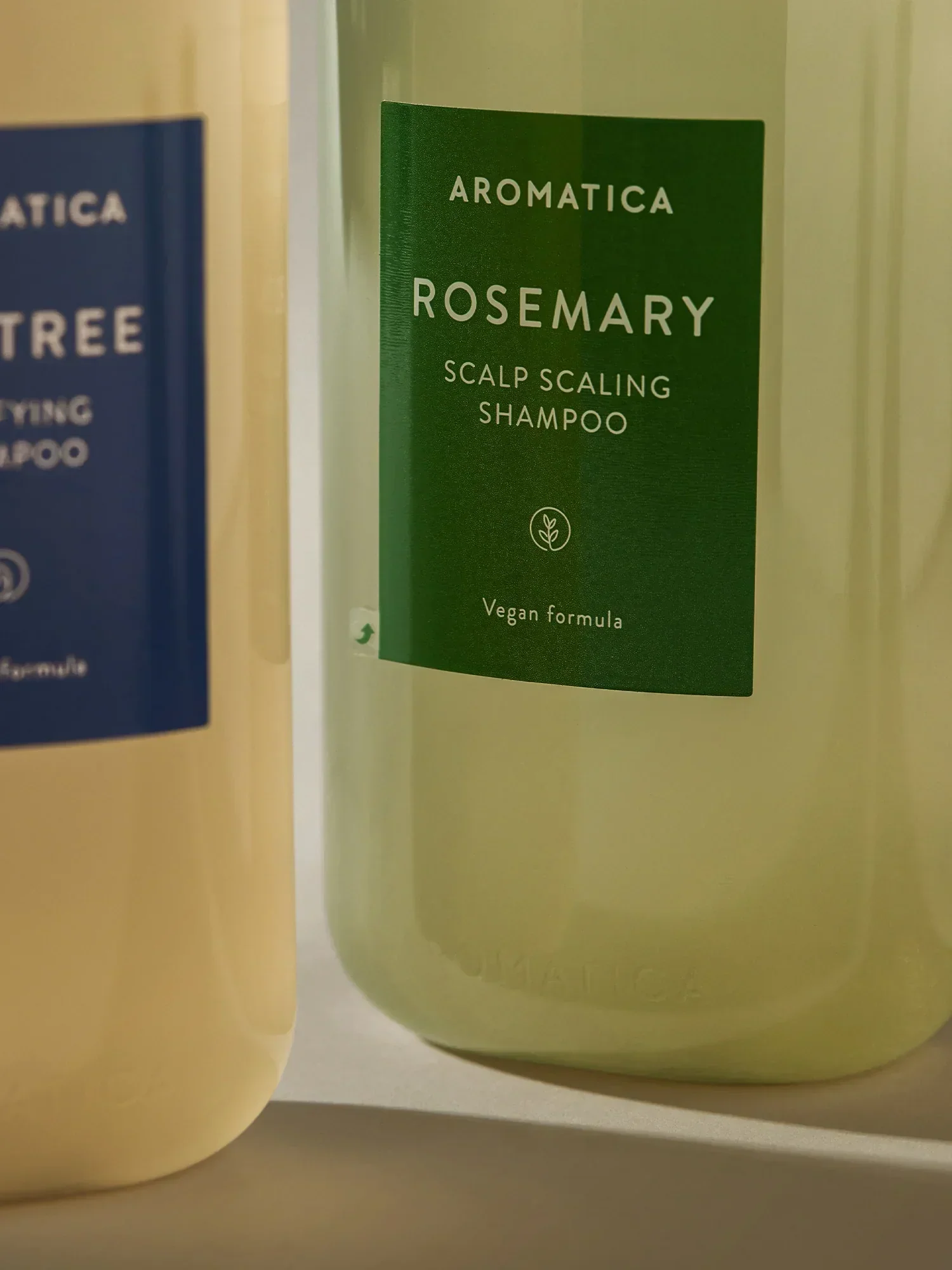 Rosemary Scalp Scaling Shampoo 400ml - Image 5